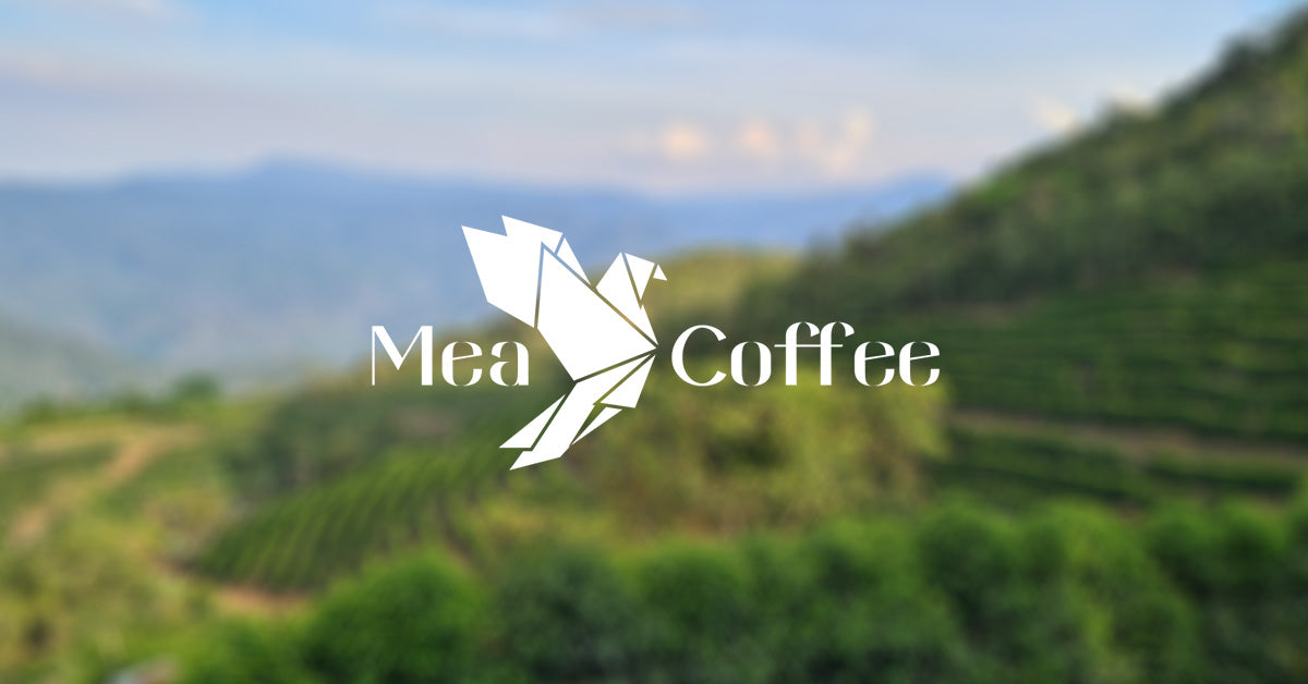 Mea Specialty Coffee