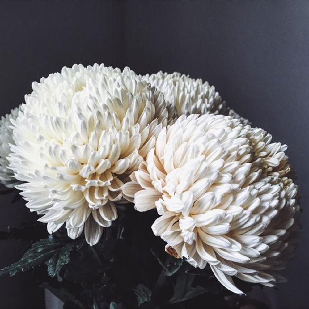 Flowers Of Fall
